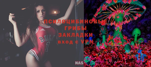 ГАЛЛЮЦИНОГЕННЫЕ ГРИБЫ Армянск
